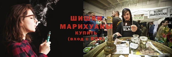 PSILOCYBIN Бородино