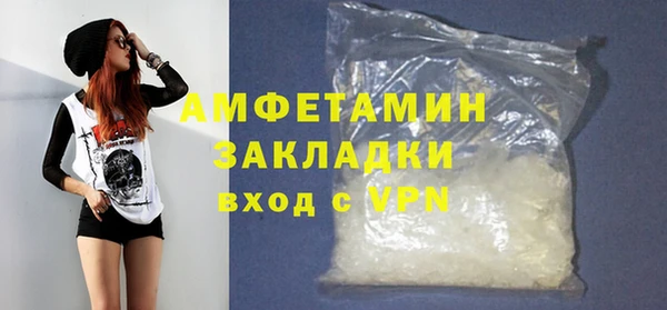 PSILOCYBIN Бородино