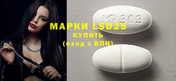 PSILOCYBIN Бородино