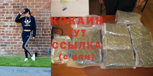 PSILOCYBIN Бородино