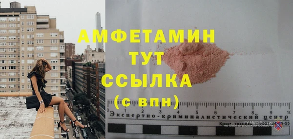 PSILOCYBIN Бородино