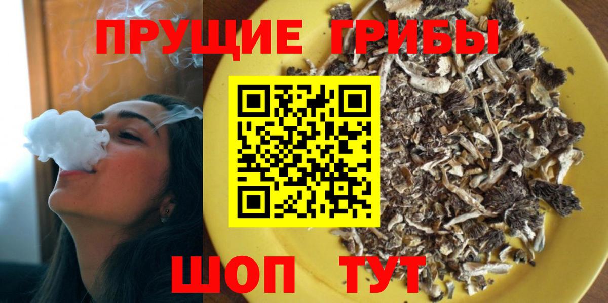 Псилоцибиновые грибы Psilocybine cubensis Бузулук