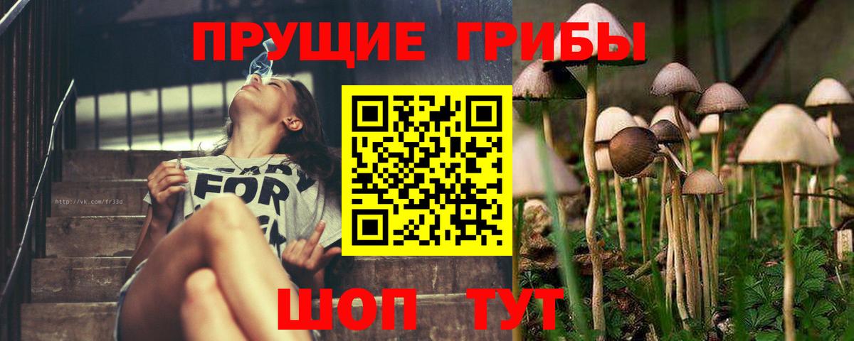 Галлюциногенные грибы мухоморы  Вход с VPN  Бузулук 
