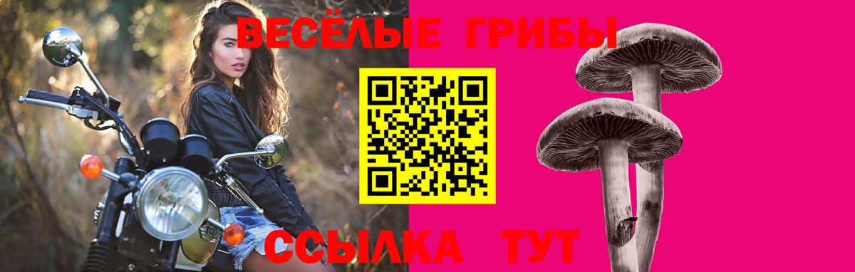 Кокаин  MDMA  Бузулук  Мефедрон кристаллы  Гашиш  МАРИХУАНА  Cocaine 